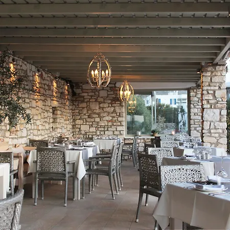 Hotel Saint Andrea Seaside - Adults Only