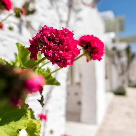 Saint Andrea Seaside - Adults Only Naousa (Paros)