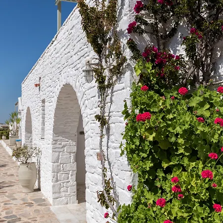 Hotel Saint Andrea Seaside - Adults Only Náoussa